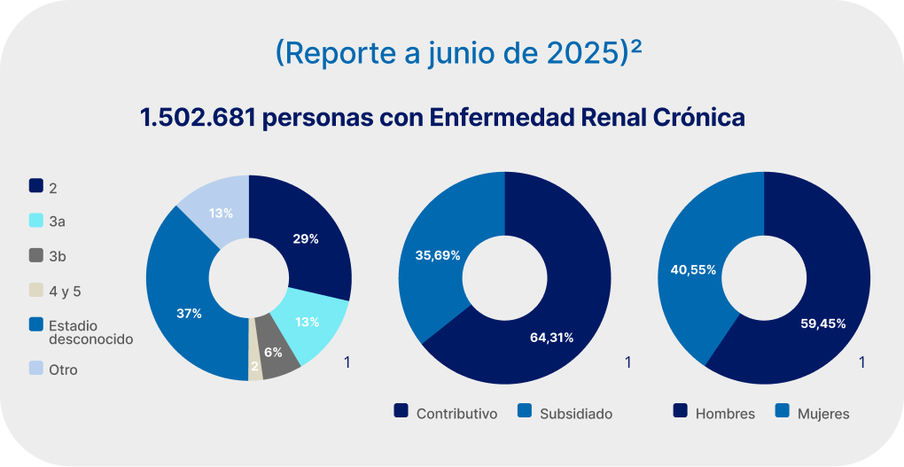 1.502.681 personas con Enfermedad Renal Crónica. Distribución por estadio, régimen y sexo. Reporte a junio de 2025