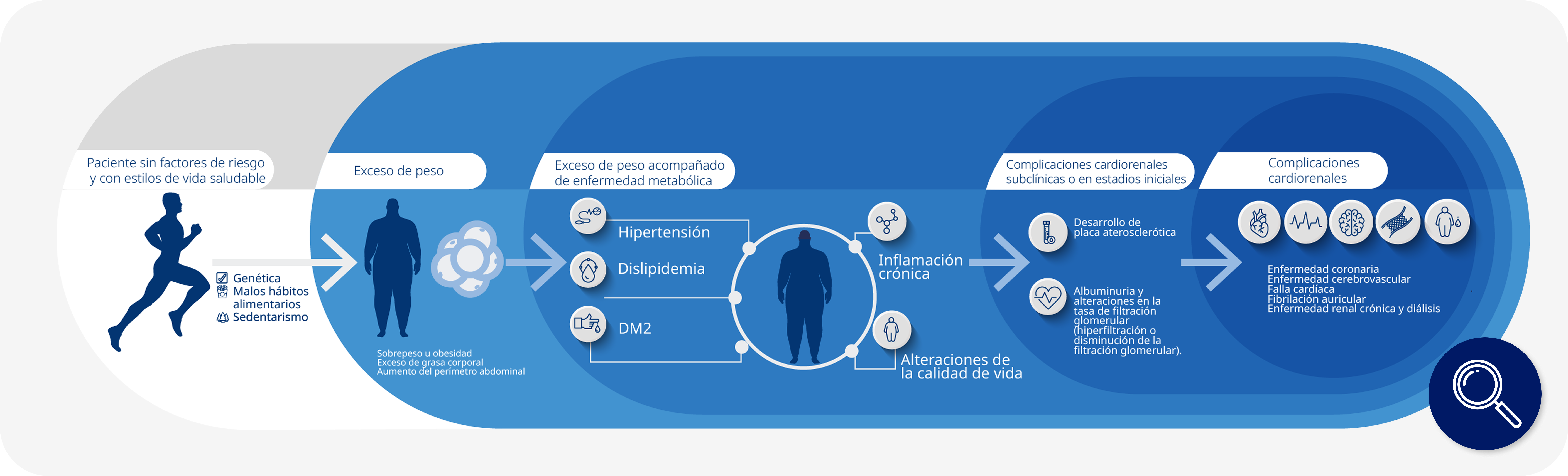 Informe de Situación de la Hemofilia