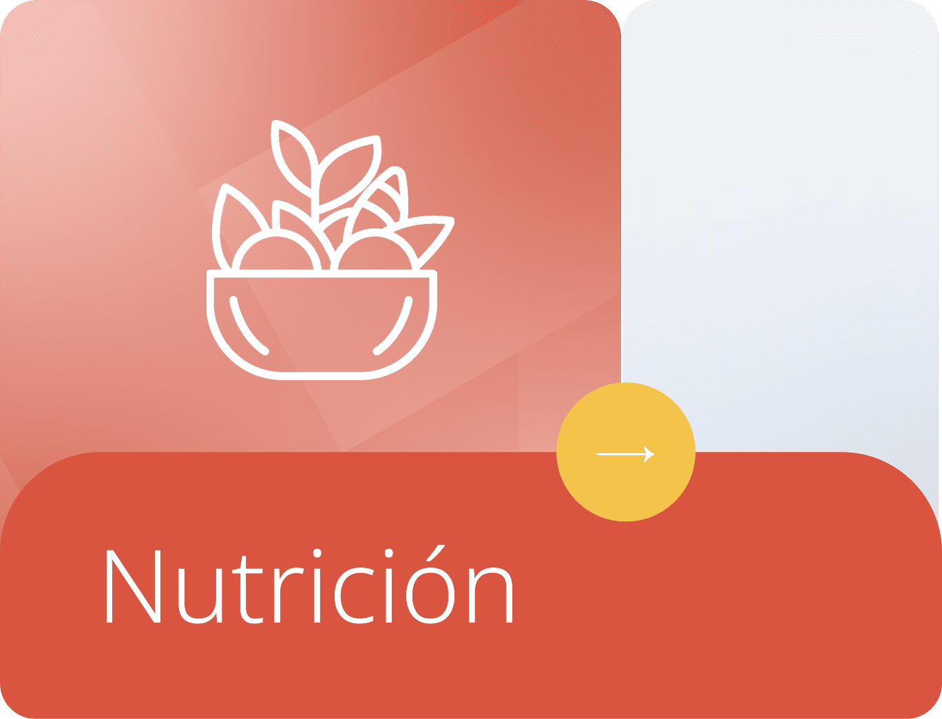 ¿Qué es la alimentación consciente?