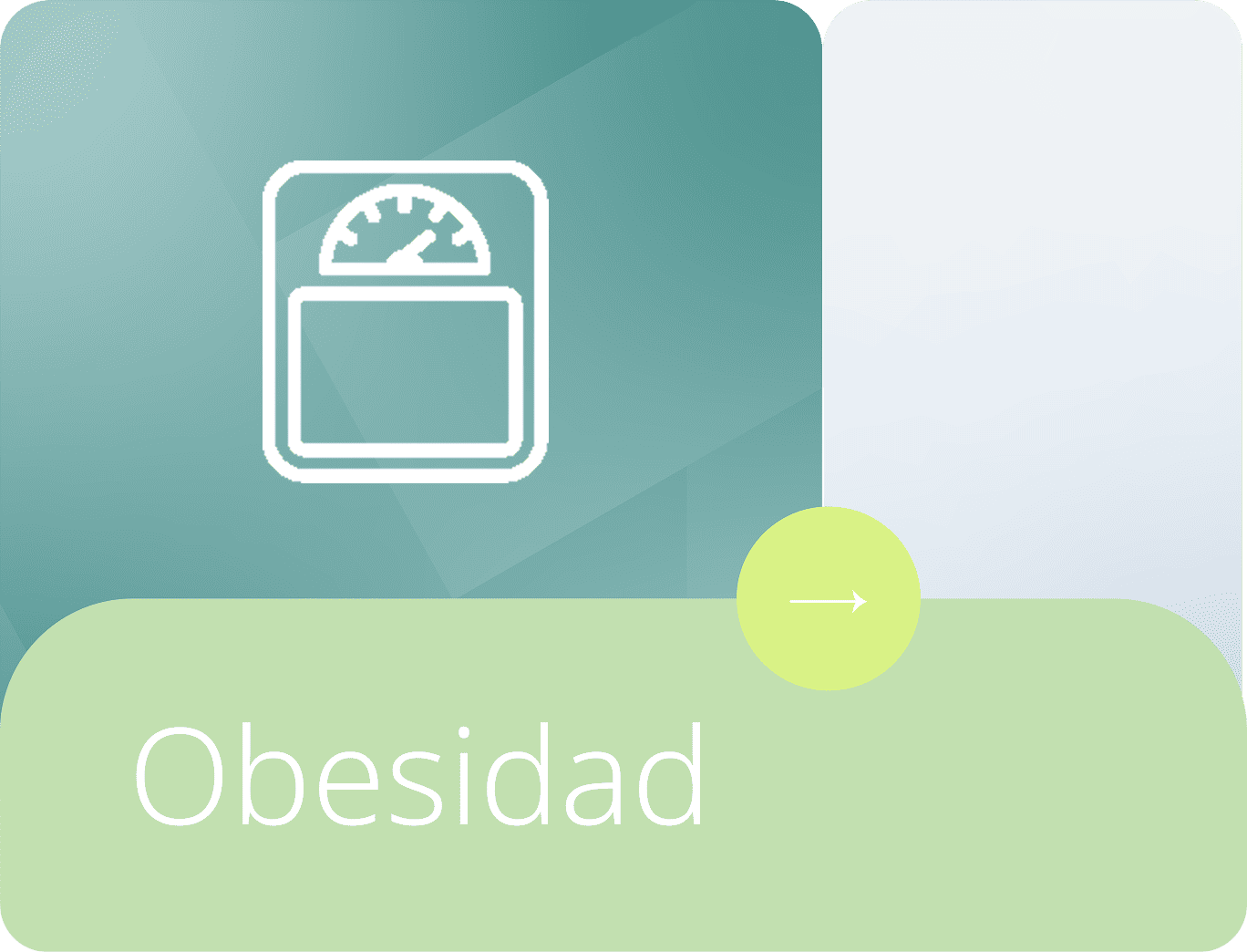 ¿Qué es la Obesidad?