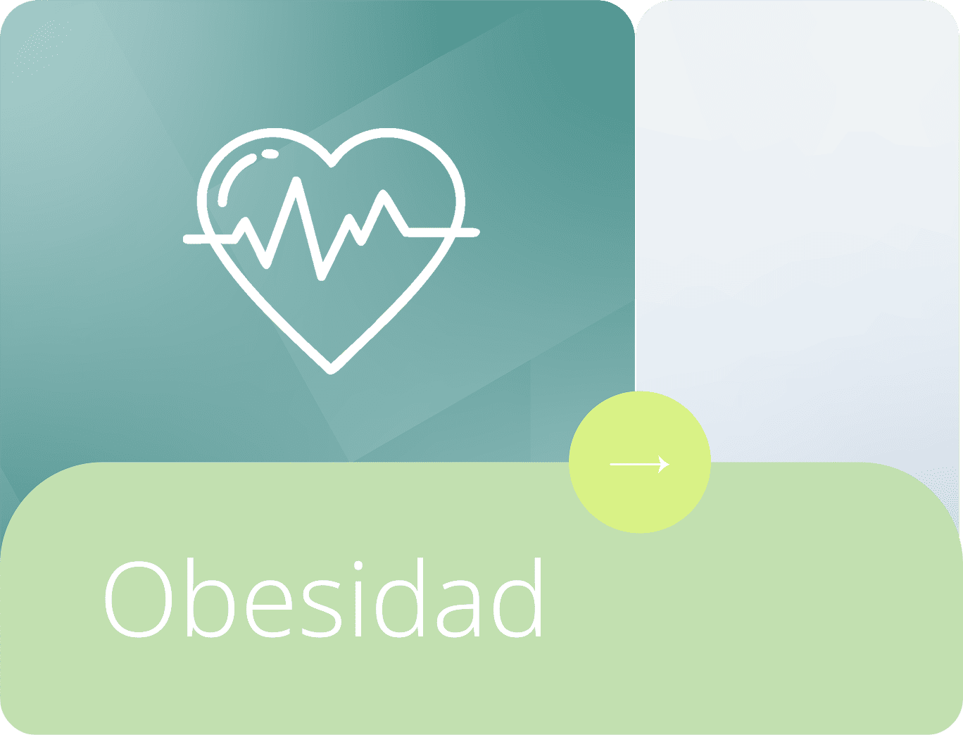 Riesgo cardiovascular relacionado con la obesidad.
